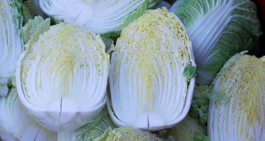 大白菜有小黑點可以喫嗎？是不是生病發黴！菜販曝出現1特徵千萬別喫了