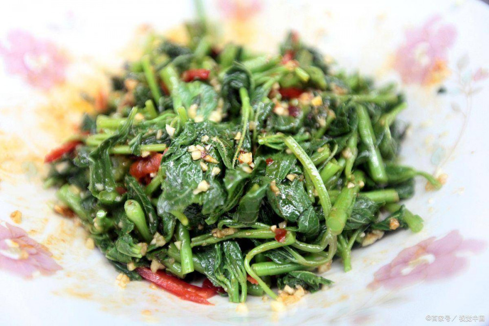 5月要多喫這種野菜，正鮮嫩，教你神仙喫法，比青菜好喫又養人