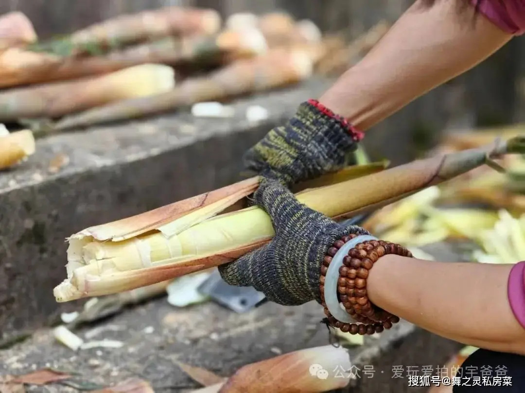 春末喫它就對了，簡單家常做法，全家都說太香了，不夠喫