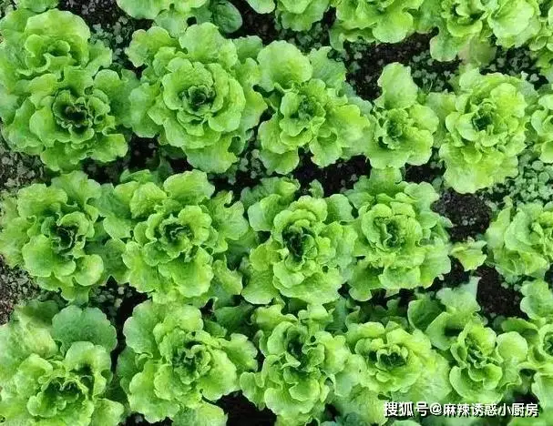 這小蛋糕，不用蛋清分離，簡單制作，容易成功，低脂低糖更健康！